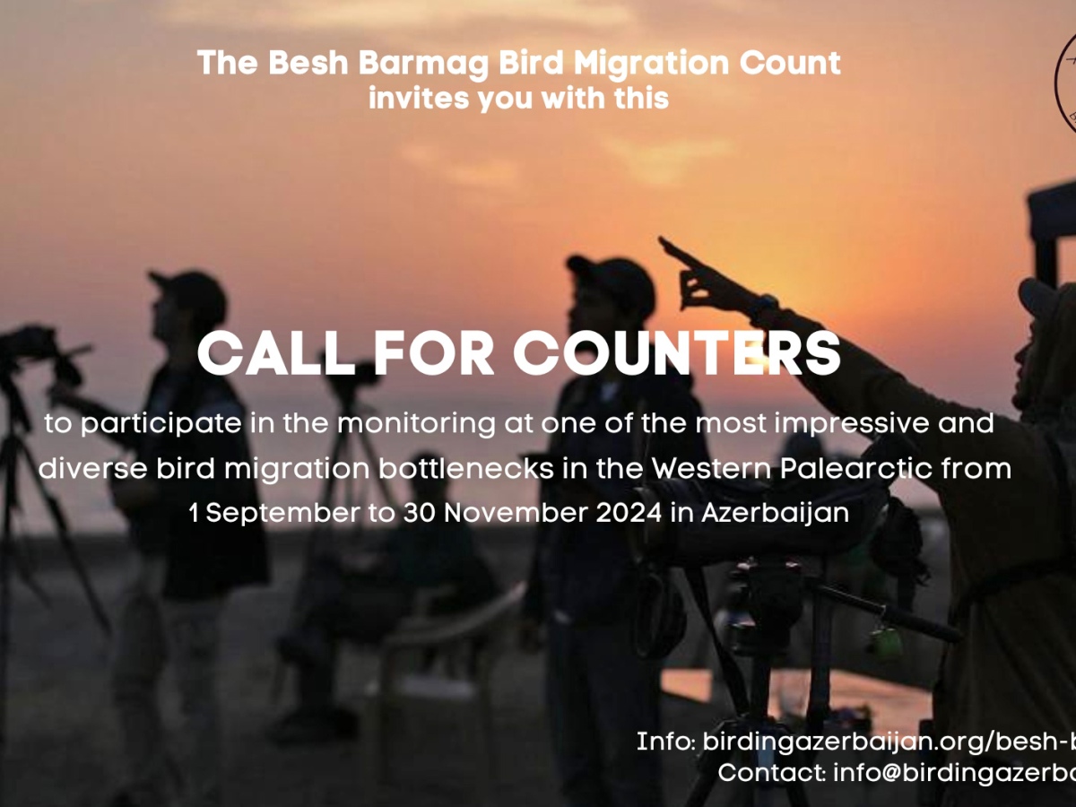 Call for Counters: Besh Barmag Bird Migration Count 2024
